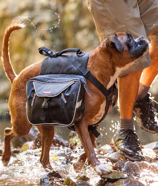 EzyDog Summit kløv ryggsekk for hund - Bilde 3