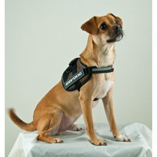 EzyDog Convert sele - vest - Bilde 2