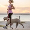 EzyDog Roadrunner
