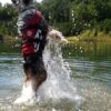 EzyDog DFD Redningsvest