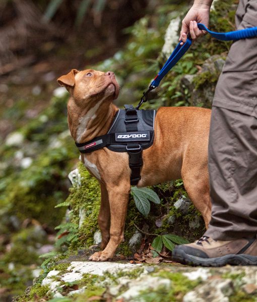 EzyDog Convert sele - vest