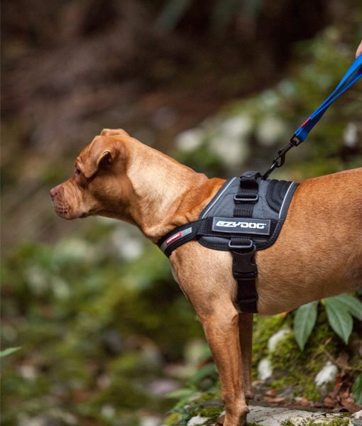 EzyDog Convert sele - vest - Bilde 3