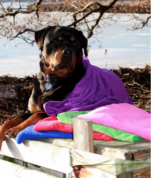 Petz Håndkle i microfiber for hund