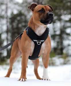 DOG Copenhagen Comfort Walk Pro sele
