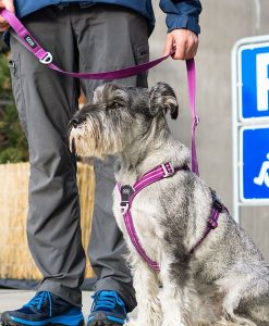 DOG Copenhagen Comfort Walk Air Sele