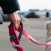 Dog Copenhagen Urban Freestyle Leash
