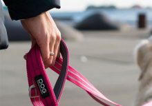 Dog Copenhagen Urban Freestyle Leash