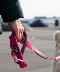 Dog Copenhagen Urban Freestyle Leash