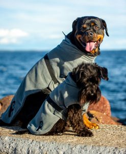 Petz Dekken - badekåpe til hund