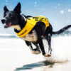 EzyDog Redningsvest DFD X2