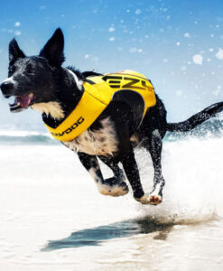 EzyDog Redningsvest DFD X2