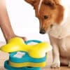 Dog Tornado aktivitetsleke