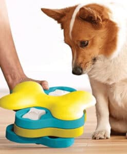 Dog Tornado aktivitetsleke