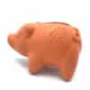 Dog Comets Propus Orange
