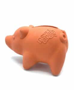 Dog Comets Propus Orange
