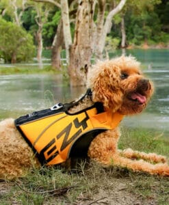 EzyDog Redningsvest DFD X2 For De Minste Hundene