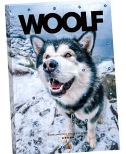 Woolf Adventskalender