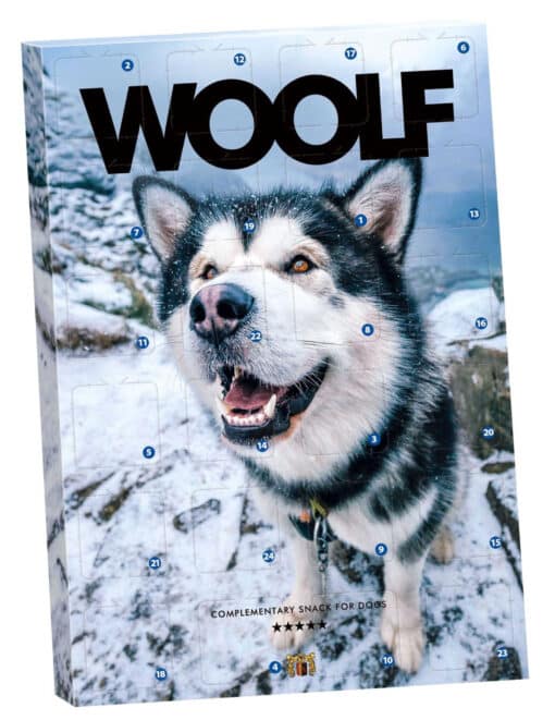 Woolf Adventskalender