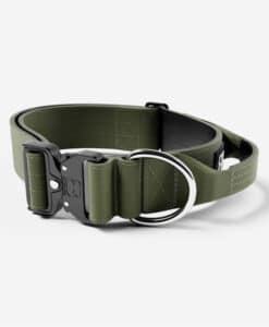 Bully Billows 5 cm Combat Collar - Khaki