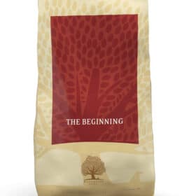 Essential The Beginning 10kg