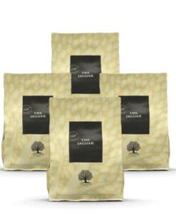 Essential The Jaguar 4 x 1,5 kg
