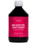 Dog Nikita Melkesyrebakterier